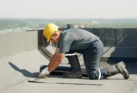 Best Asphalt Shingles Roofing  in Roseland, FL